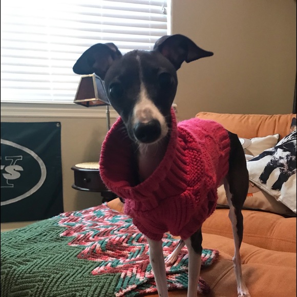 Meet your Posher, Linda - Picture 2 of 4